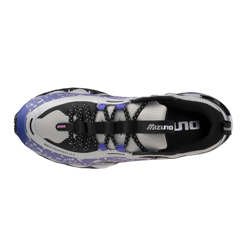 WAVE PROPHECY 13.2 Spring Crocus | Black Harbor Mist