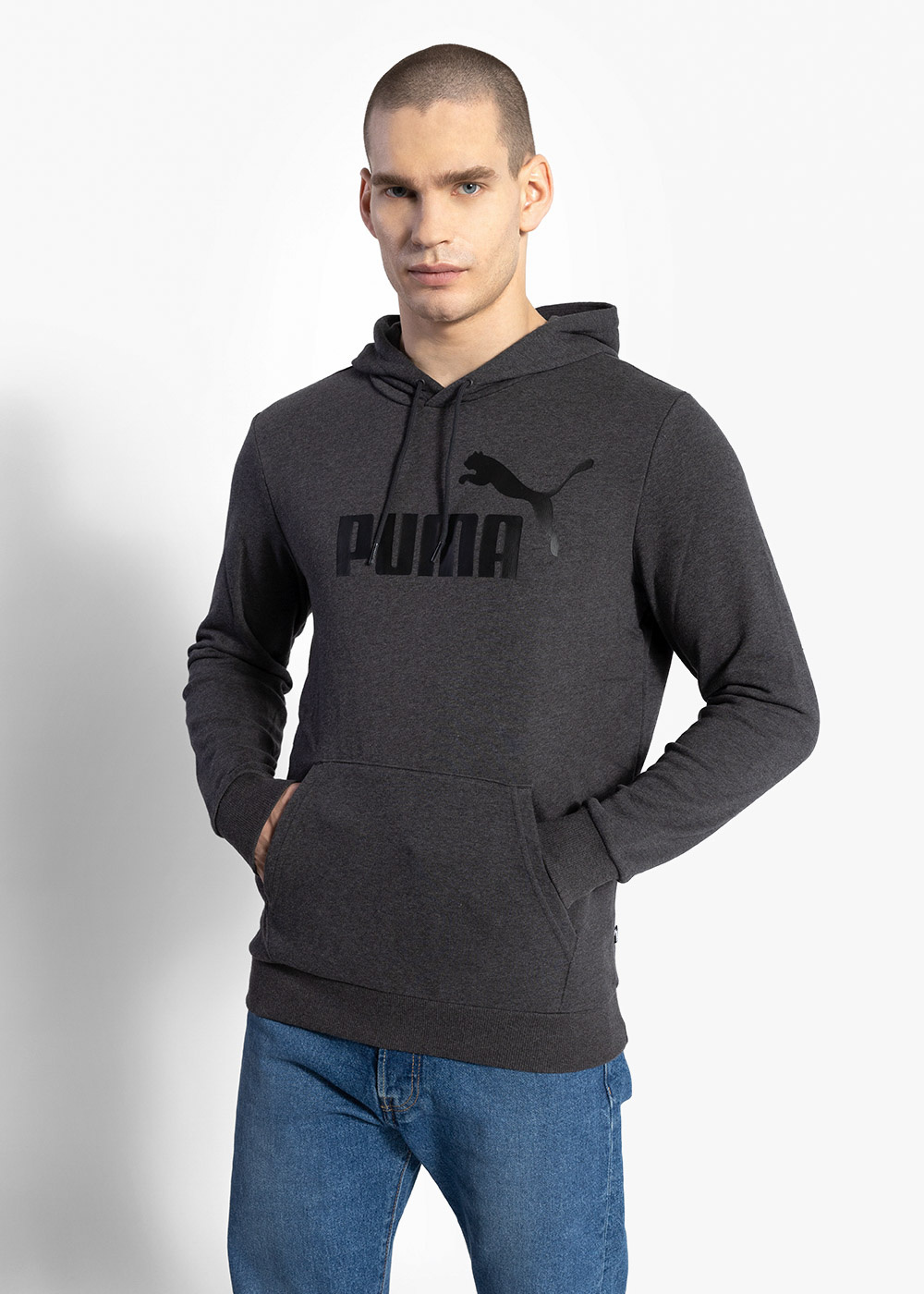 PUMA ESS BIG LOGO HOODIE TR 586688-07 - Herren Kapuzenpullover - Grau