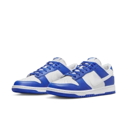 Nike Dunk Low Retro Herren Sneaker